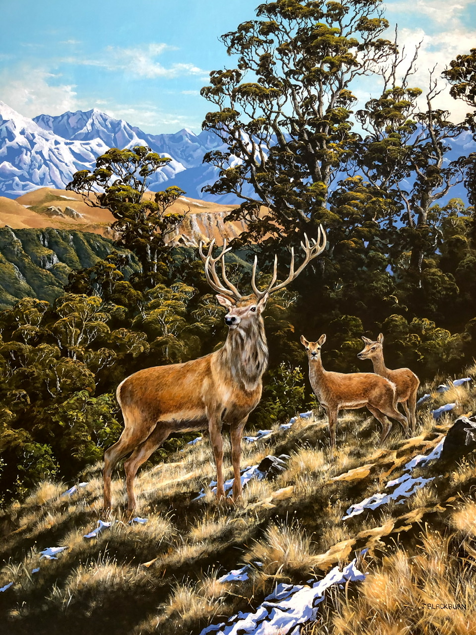 Majestic Wilderness
