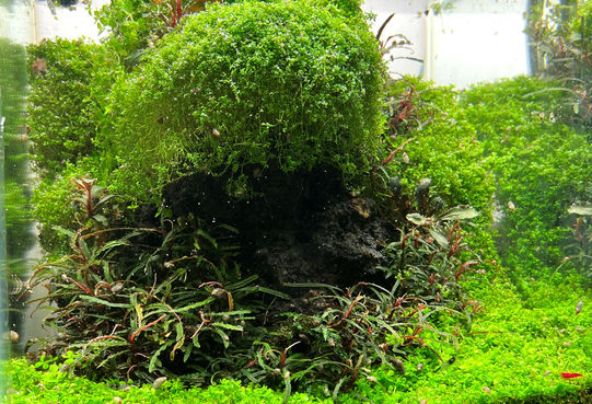 image0001.jpeg