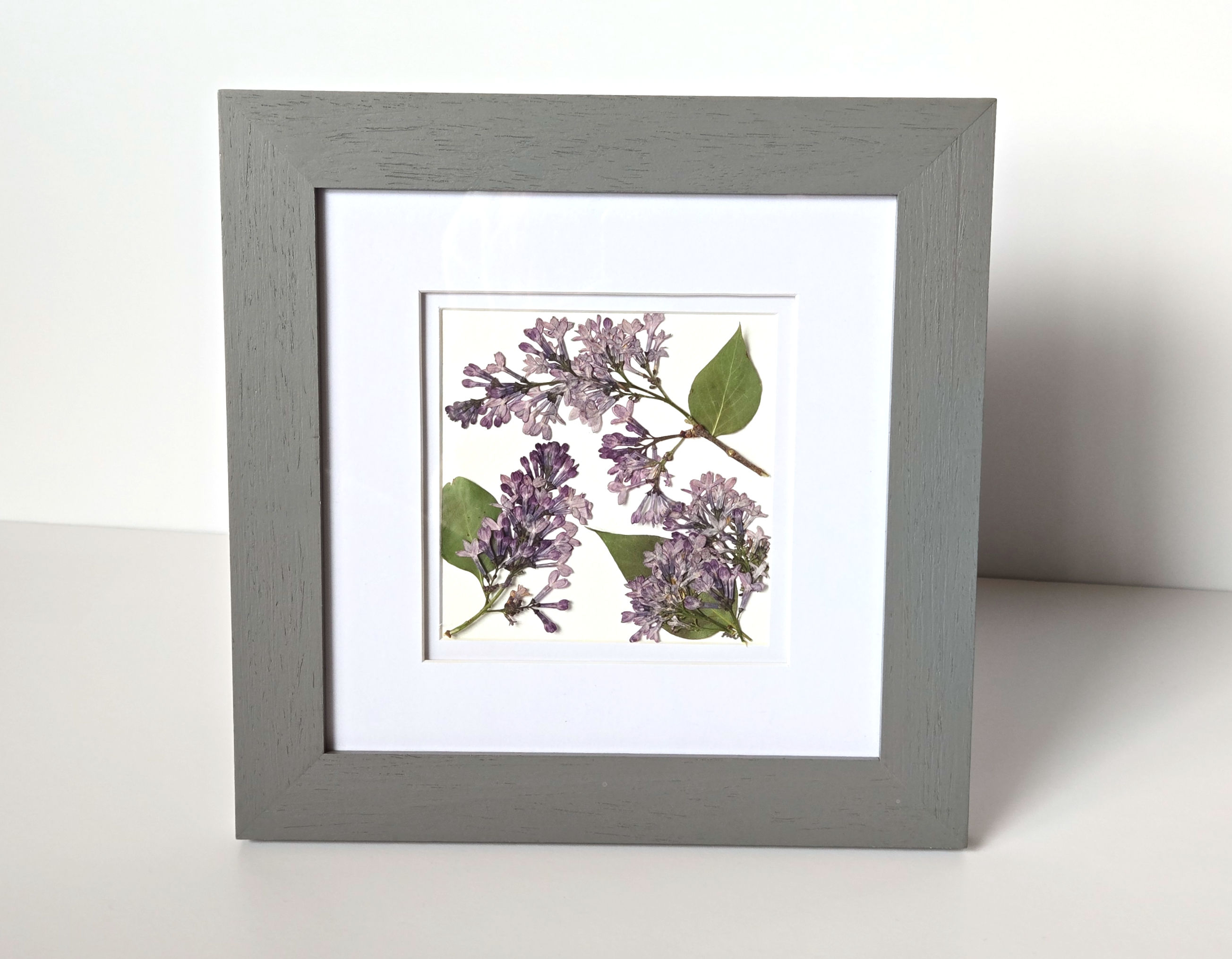 Lilacs
