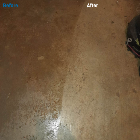 Mould Removal