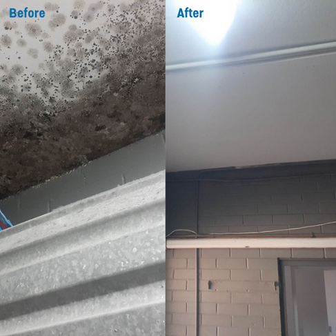 Mould Removal