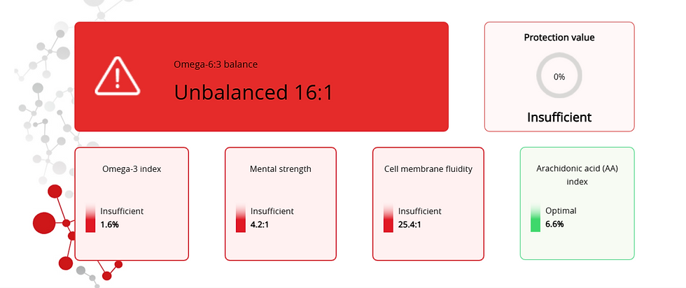 Eye-level view of a community garden plot with raised beds and young plants