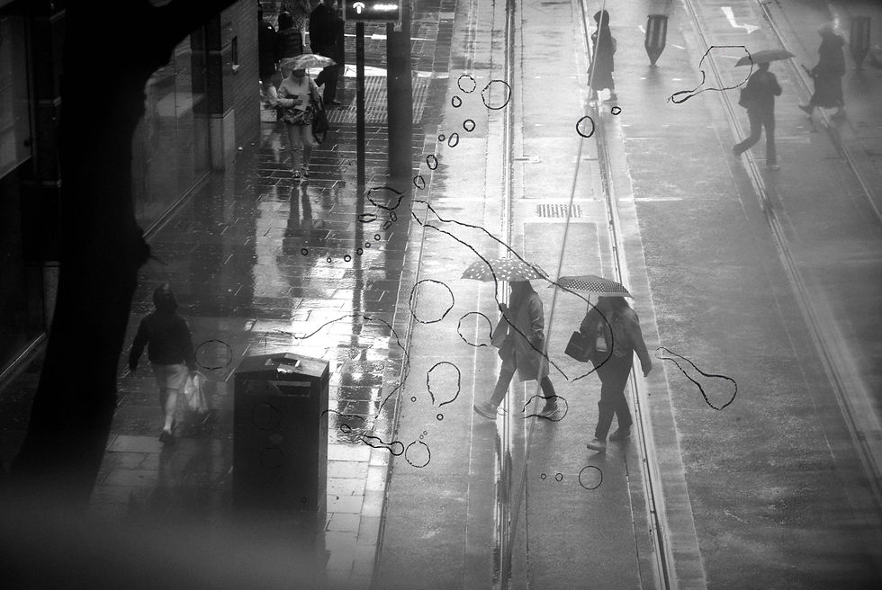 DSC_4337 copy 3.jpg