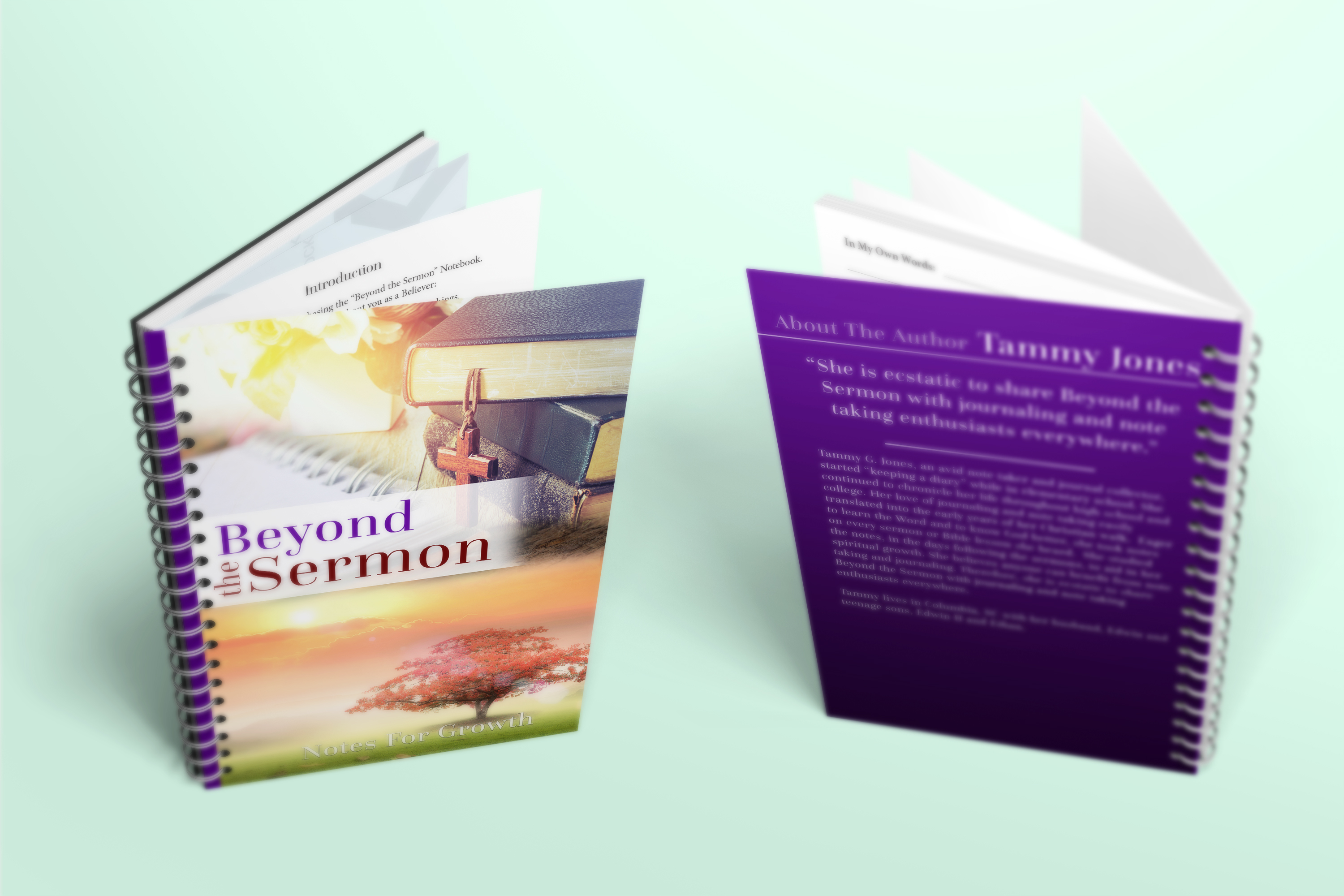Beyond the Sermon Notebook