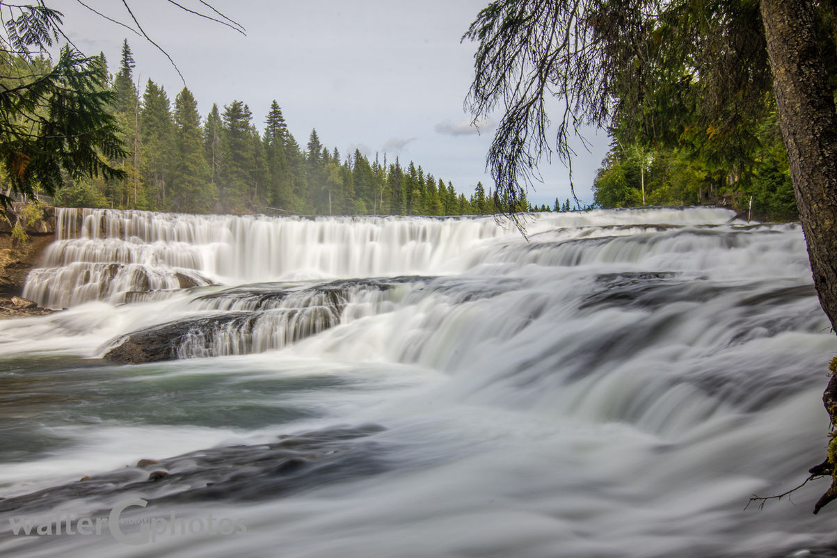 ND5_5215.jpg
