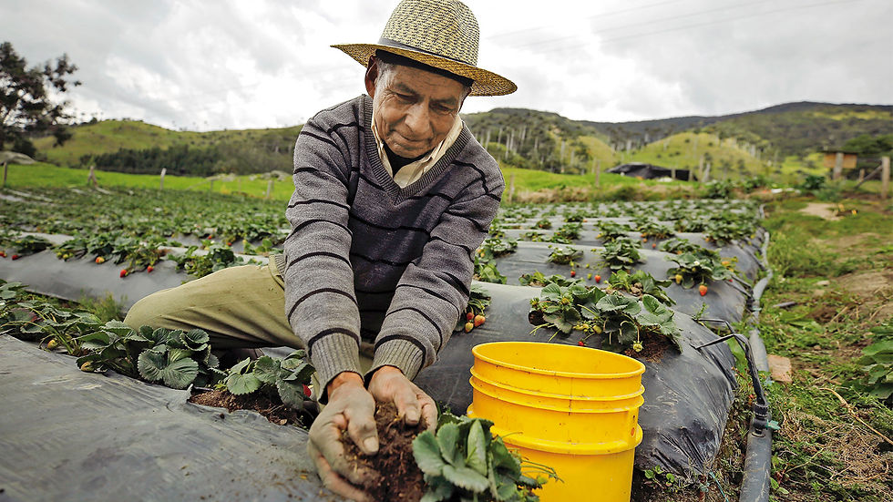 El 70% de los alimentos de Colombia