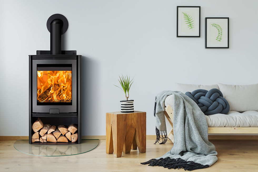 Di Lusso R5 Euro Eco Lifestyle woodburning stove