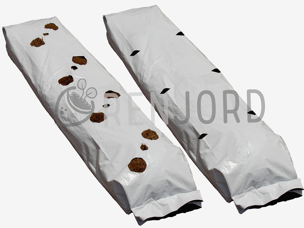 Grow-bag-7
