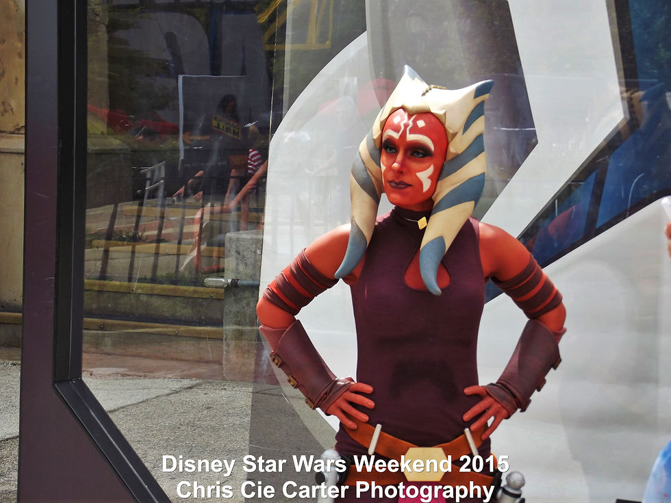 DSCF7290.JPG