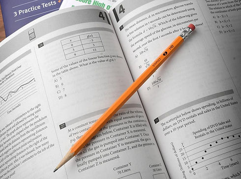 sat book image.jpg