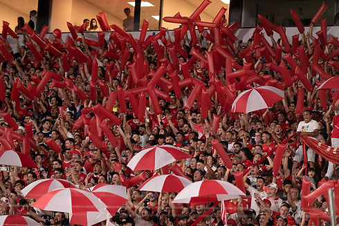 Independiente-Hinchada-Boca-Liga-Profesional-Desde-Adentro.jpeg
