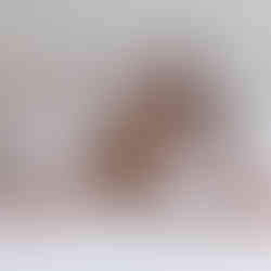 In-Home Family Photographer CT | Ilona Musial Photography