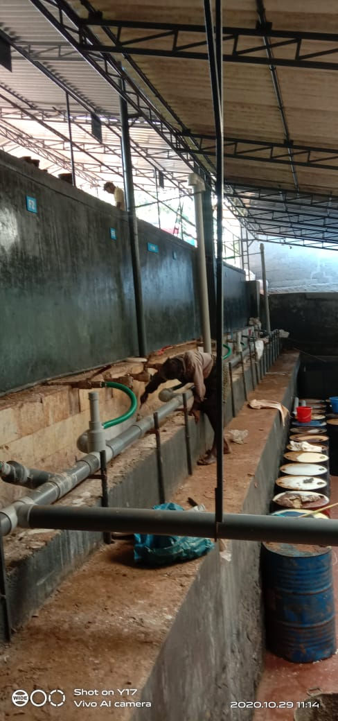 WhatsApp Image 2025-03-05 at 6.20.35 PM (1)