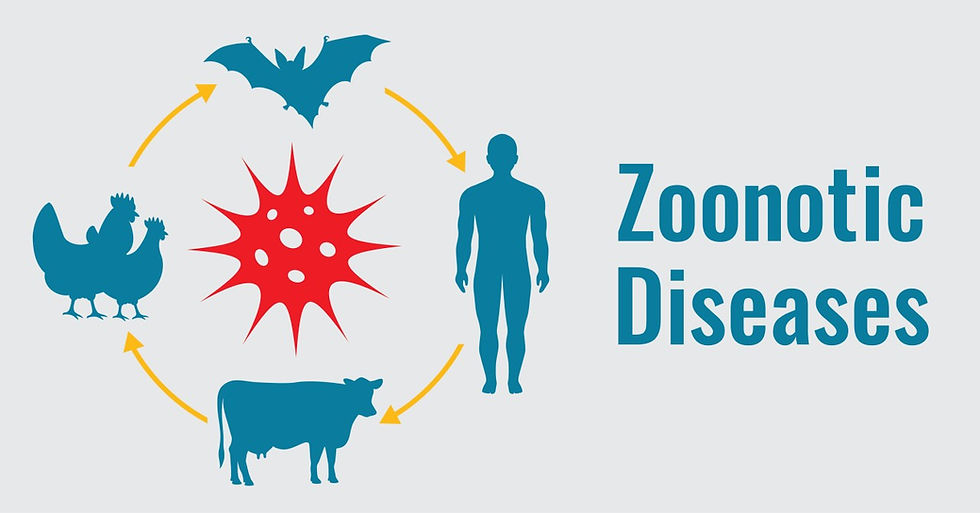 Zoonotic disease