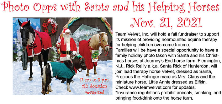 Santa pictures 2021 promo.jpg