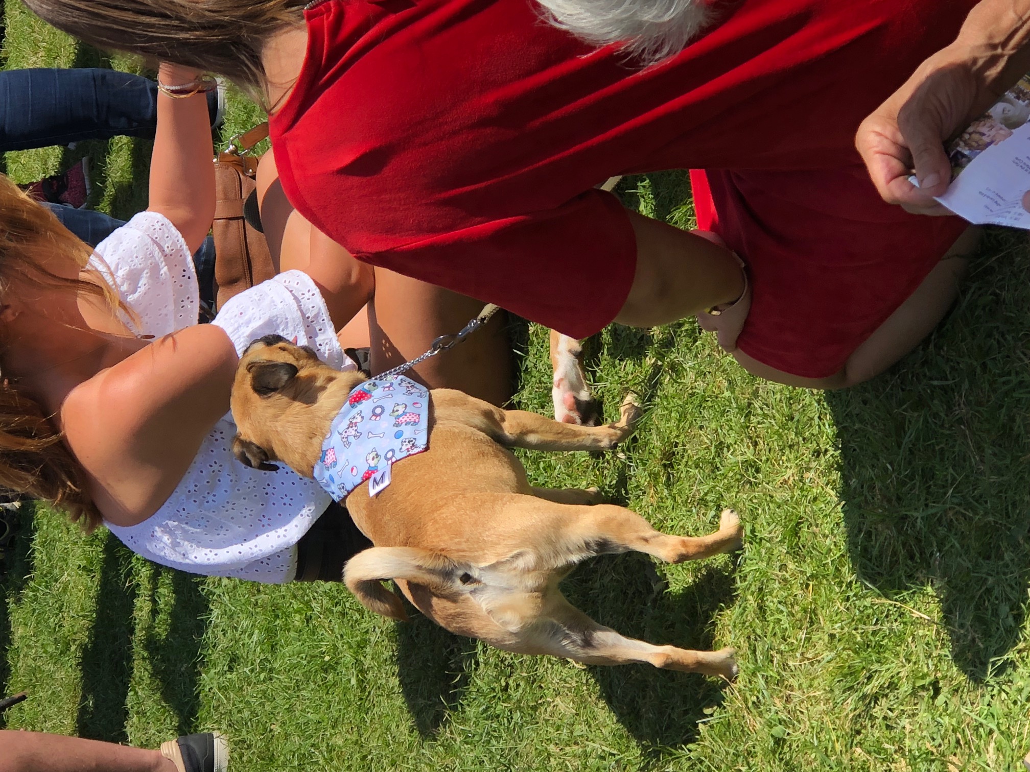 Hastings Town and Country Fair 2018