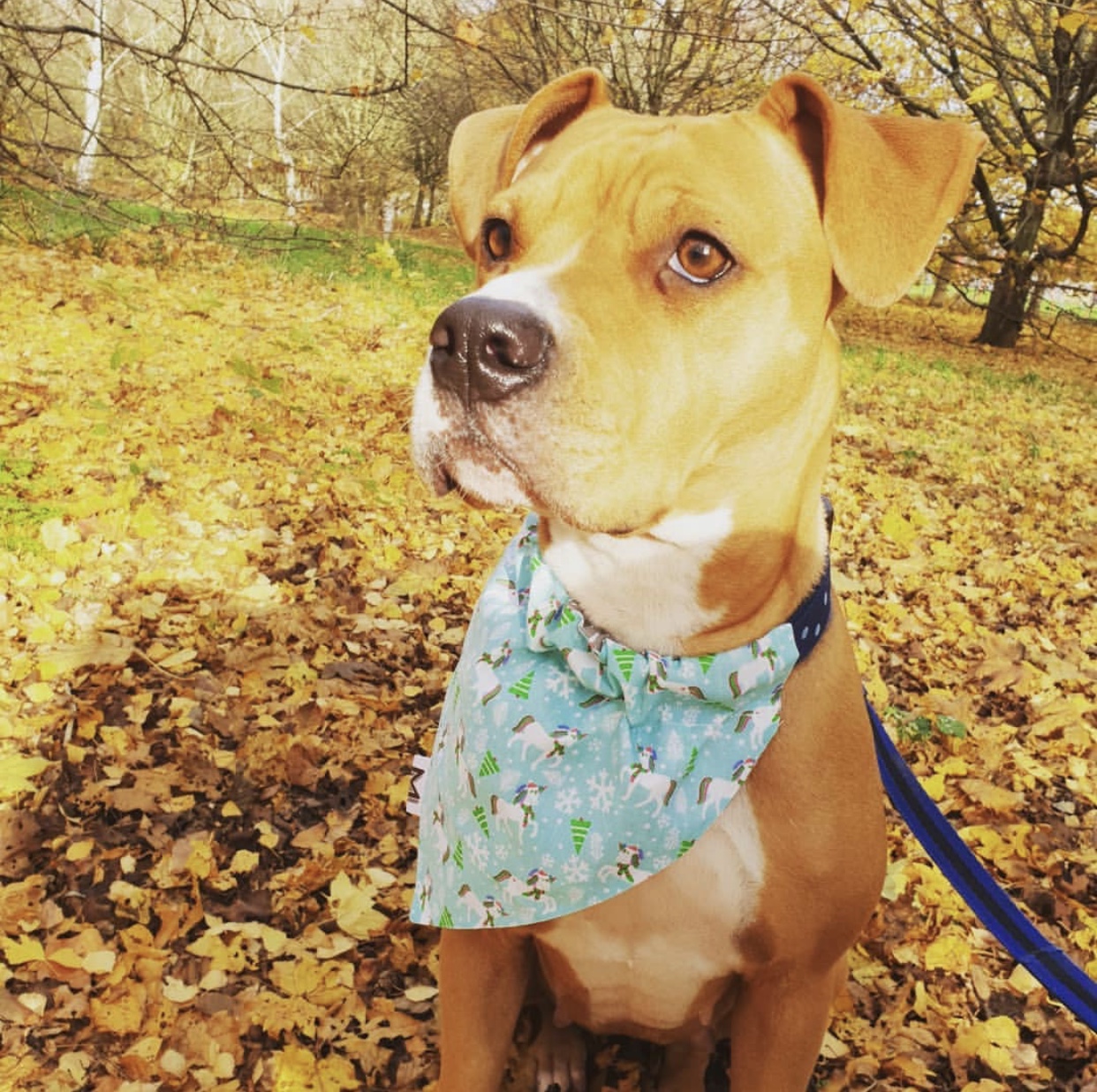 MARLEY