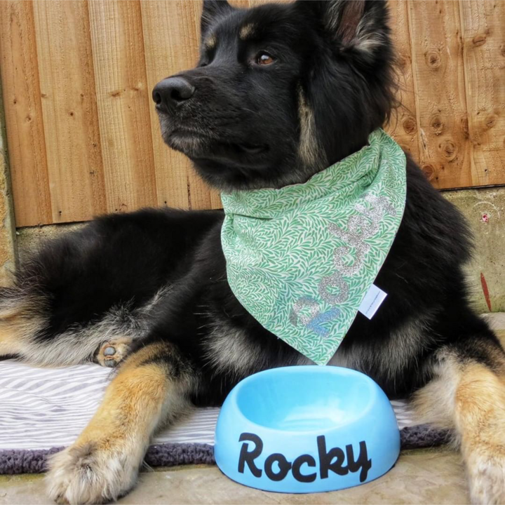 ROCKY