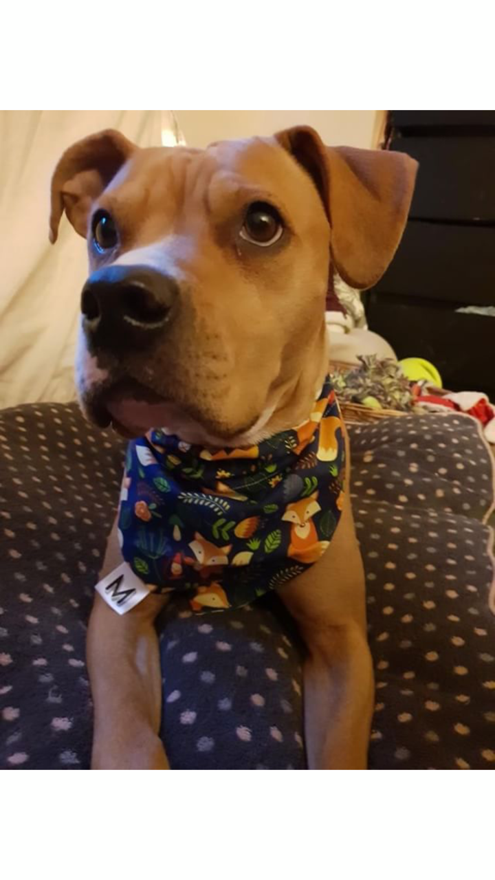 MARLEY