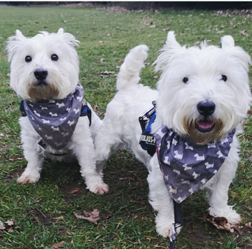 STANLEY & HUDDY