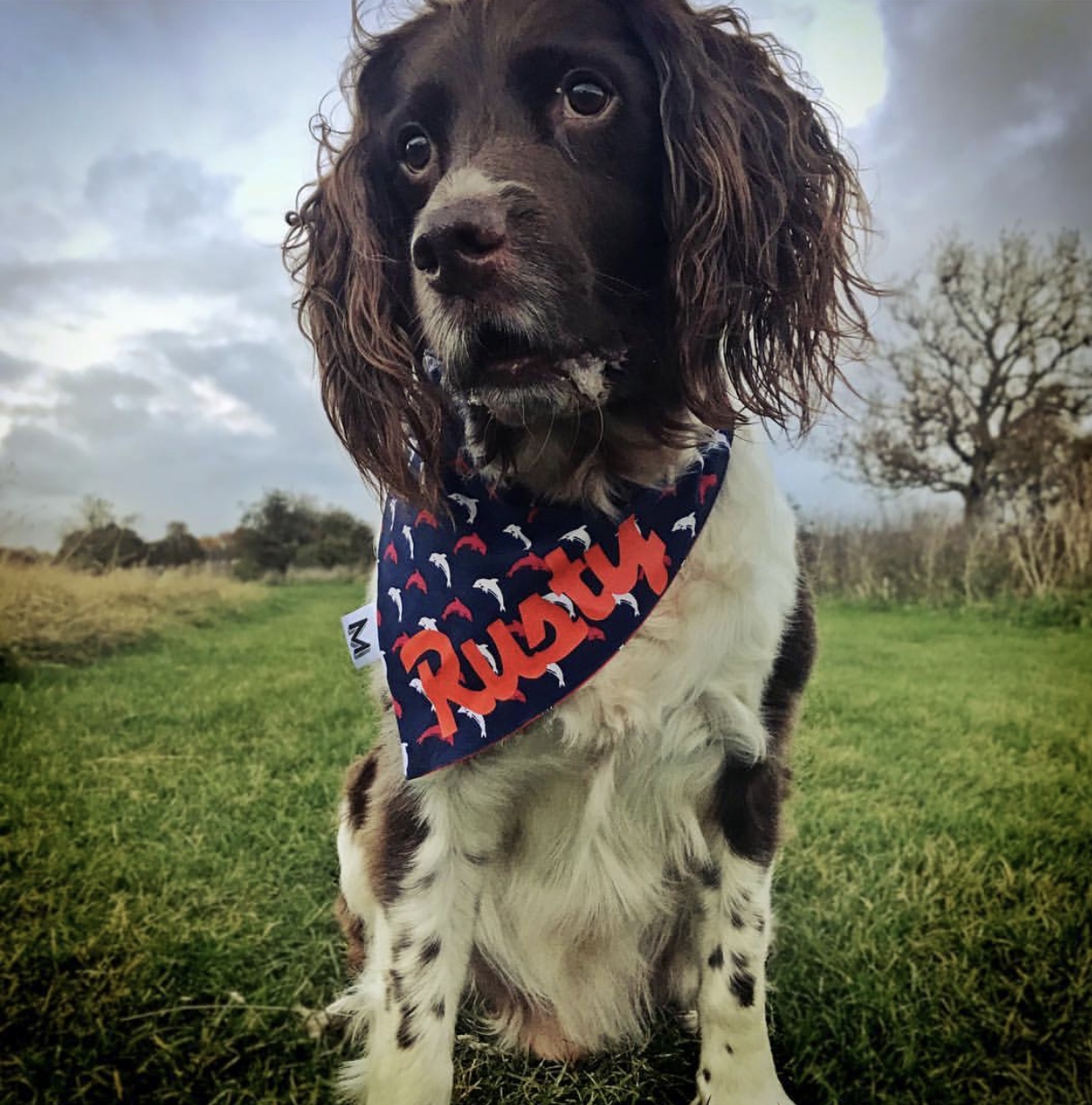 RUSTY