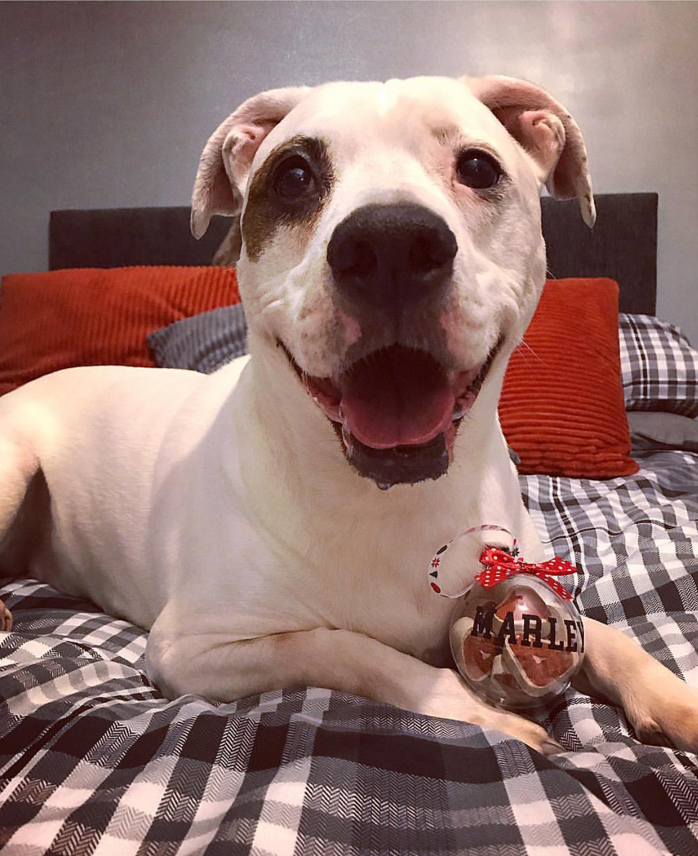 MARLEY
