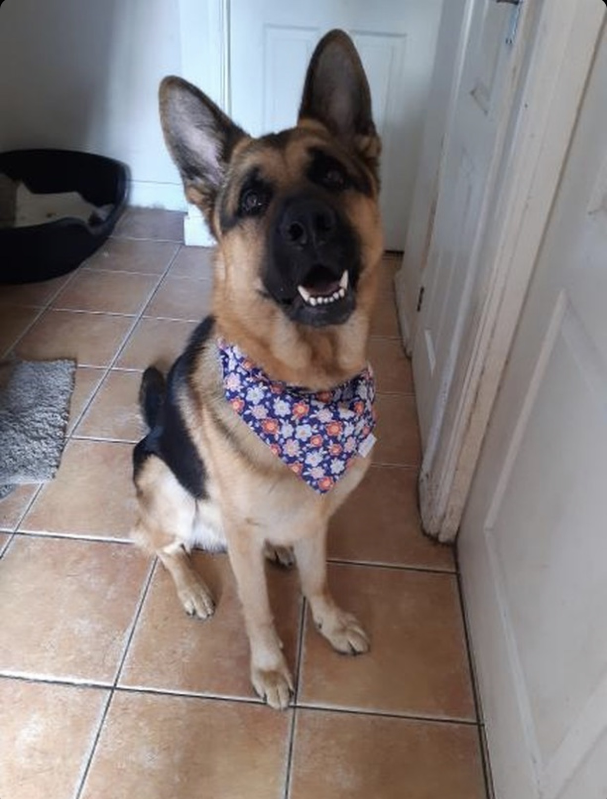 BENGA