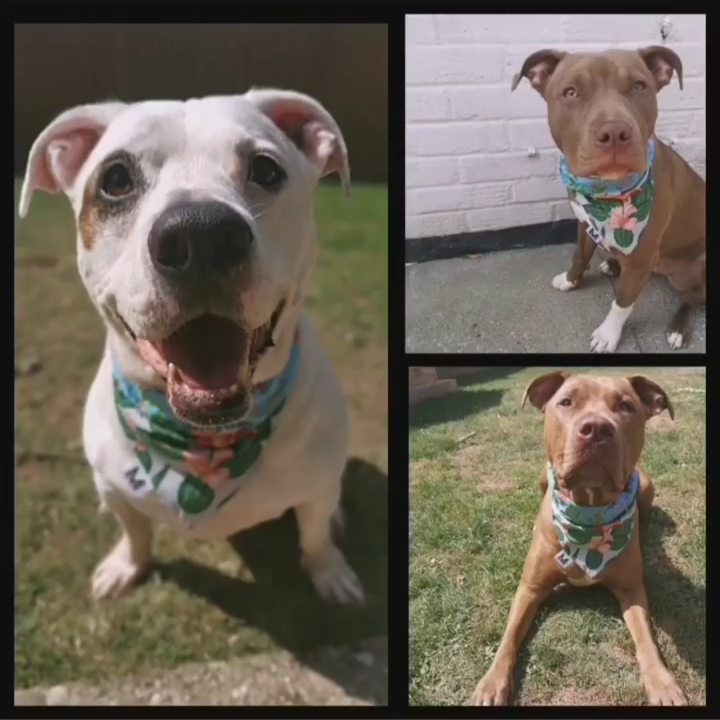 MARLEY and Friends