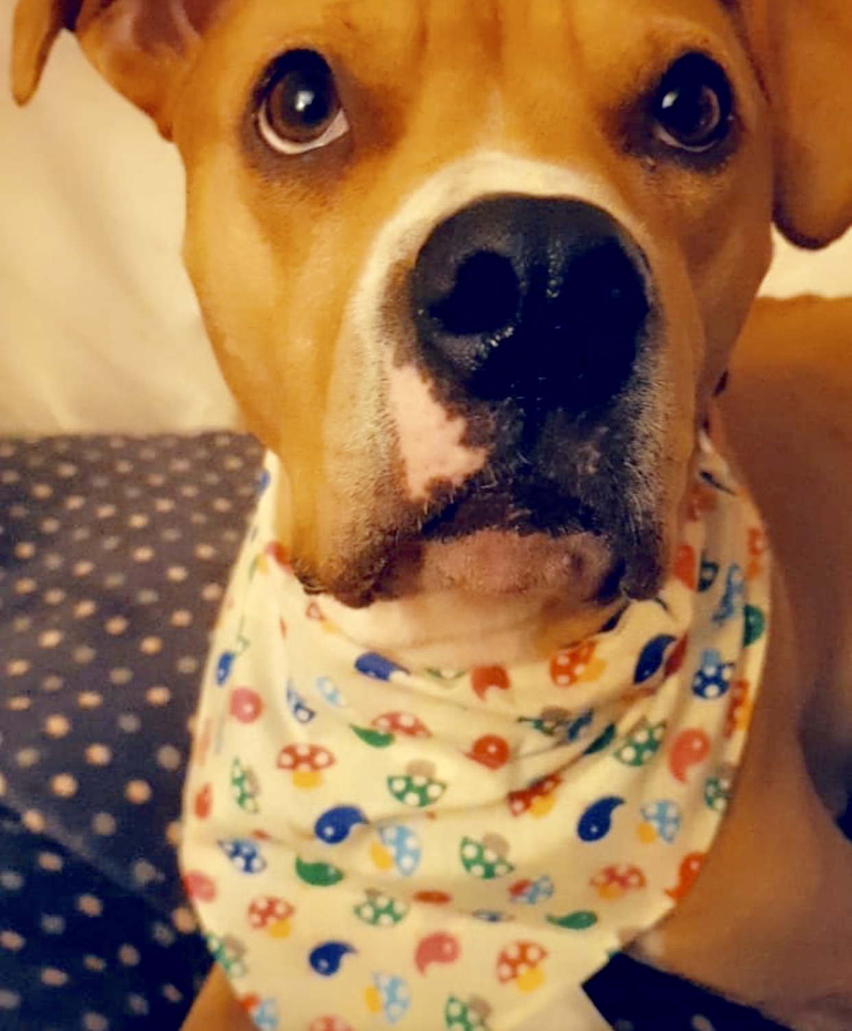 MARLEY