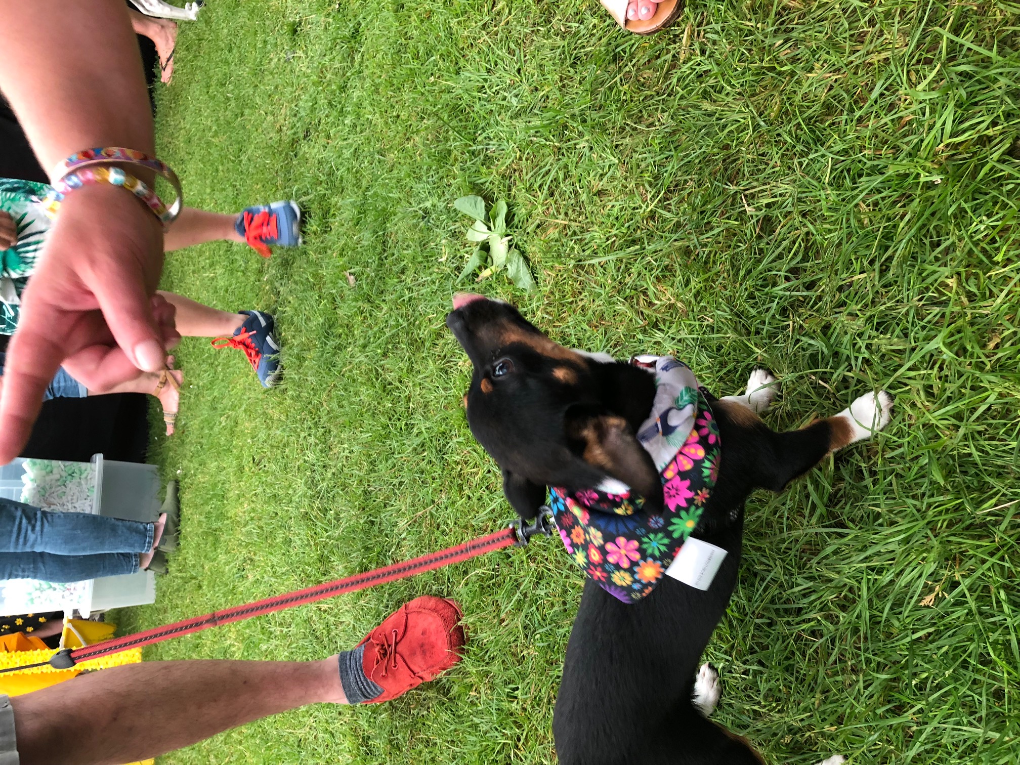 Hastings Town and Country Fair 2018