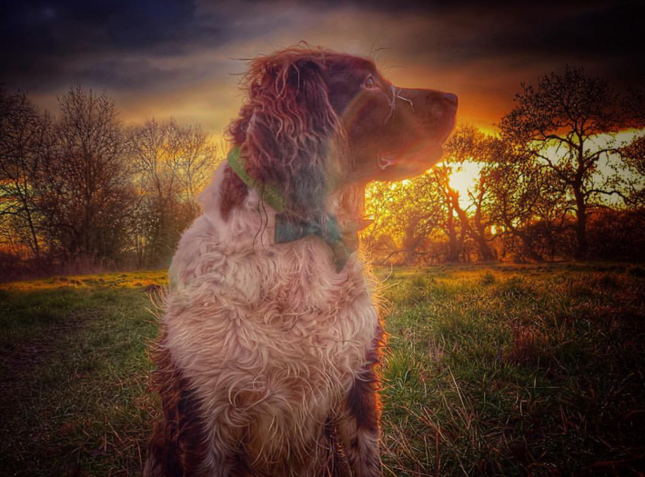 RUSTY