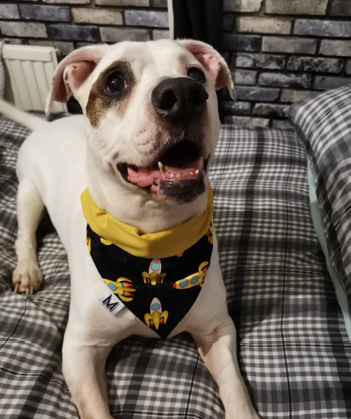 MARLEY