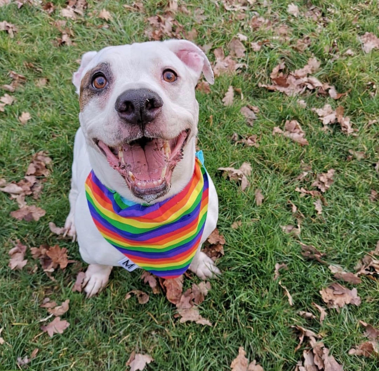 MARLEY