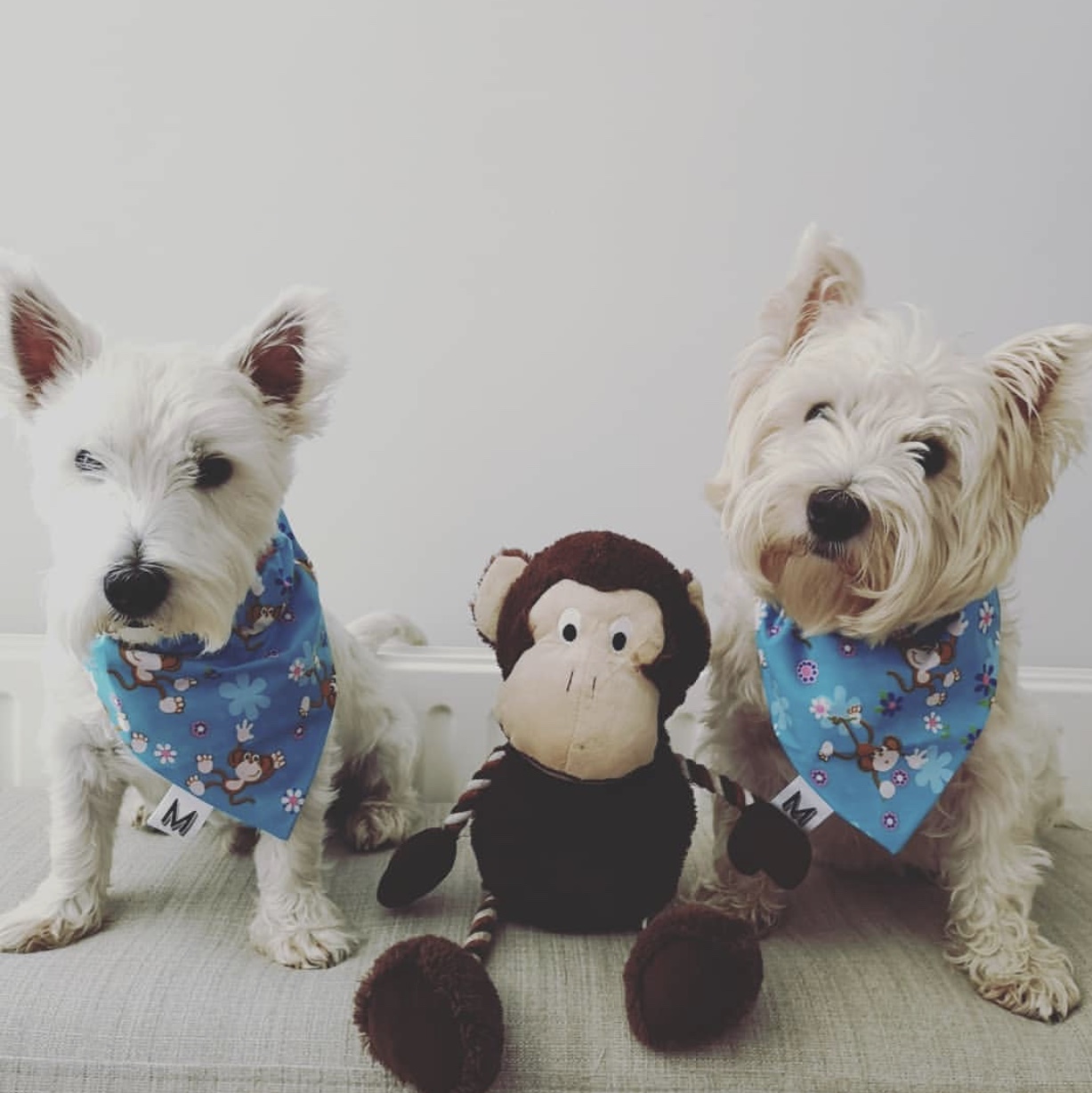 STANLEY and HUDDY