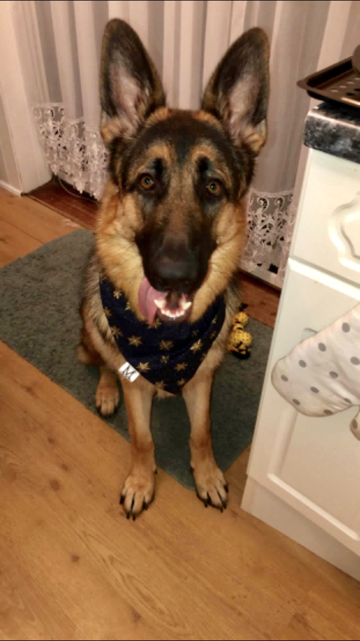 BRUNO