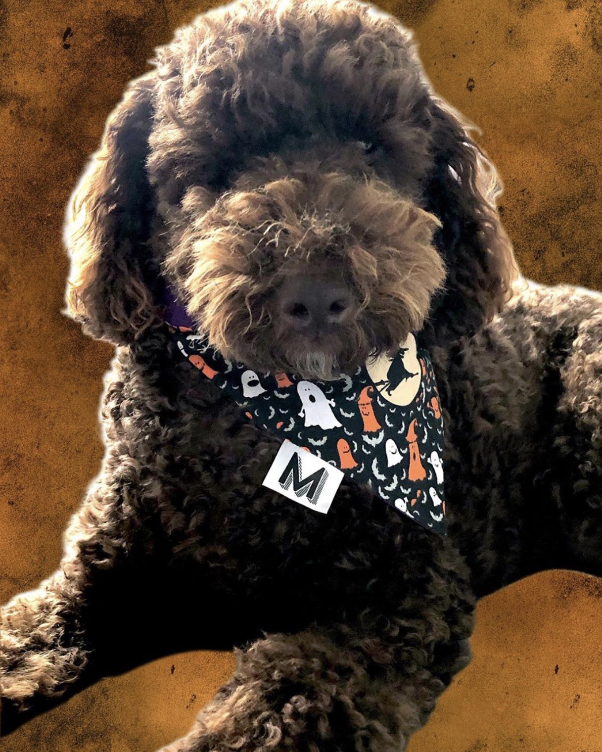 WINSTON