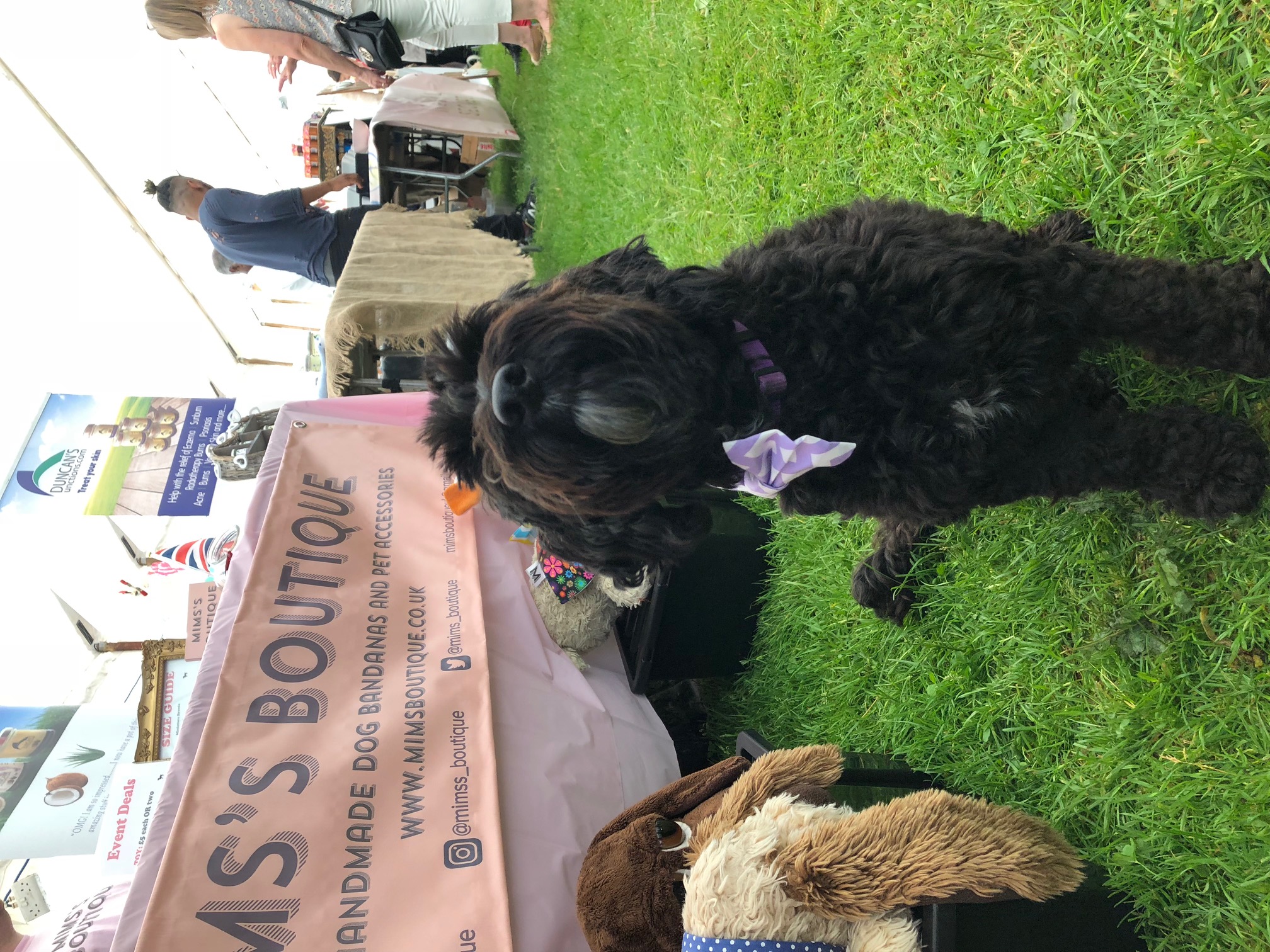 Hastings Town and Country Fair 2018