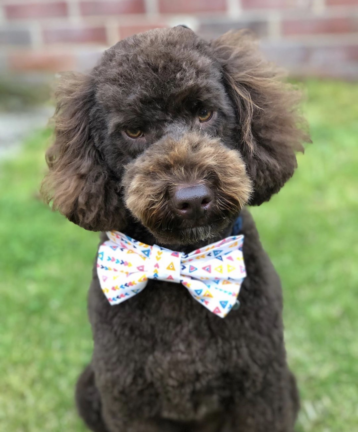 WINSTON