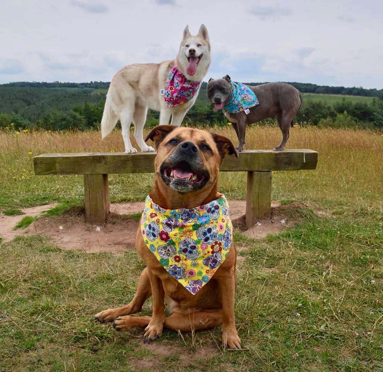 BLUE and her gang