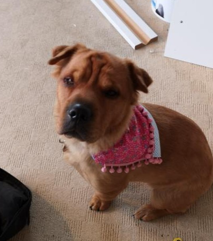 ROXY