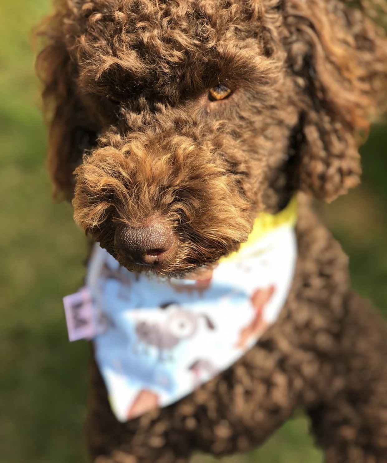 WINSTON