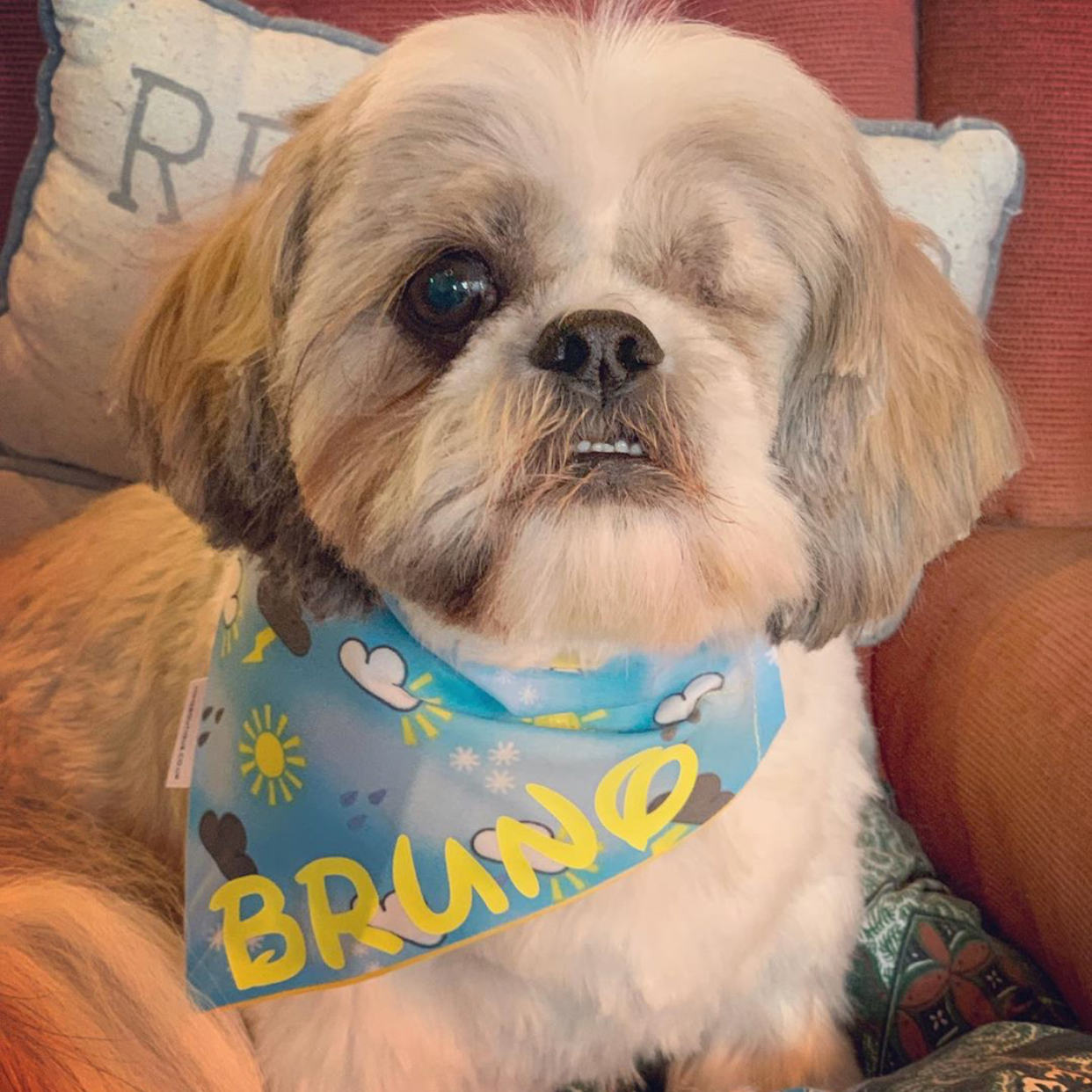 BRUNO