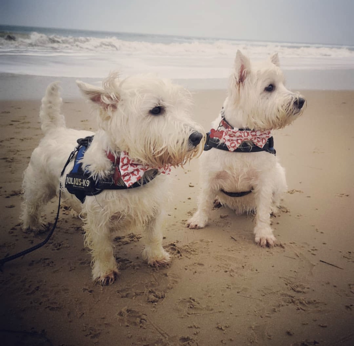 STANLEY & HUDDY