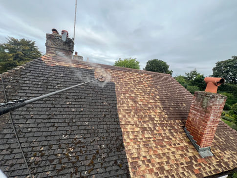 Roof Clean in Bishop's Stortford