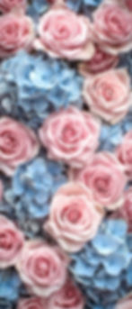 powder pink and powder blue