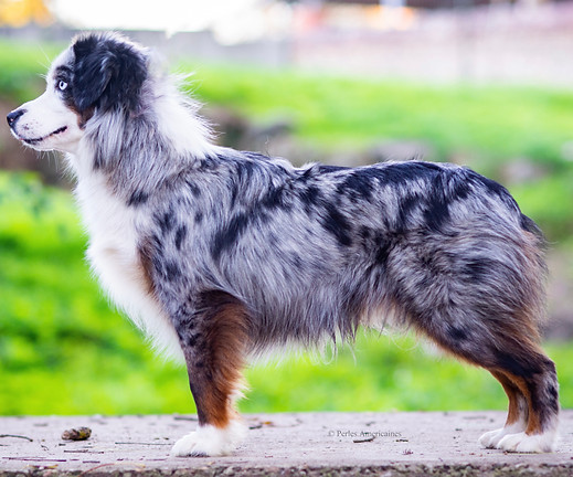 Photo Nov 11, 12 40 01 PM.jpg