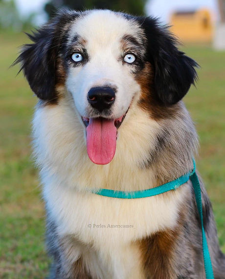 Photo Jul 24, 8 25 37 AM-2.jpg