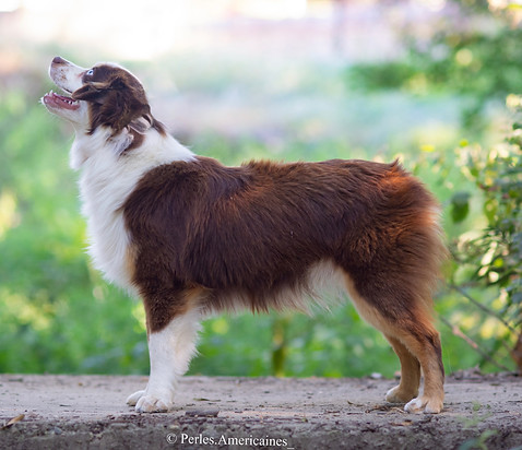 Photo Jul 19, 12 54 26 PM.jpg