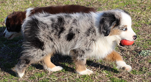 Photo Mar 10, 2 07 06 AM.jpg