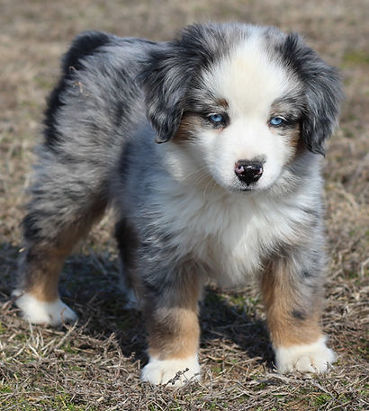 Photo Feb 18, 5 22 57 AM.jpg